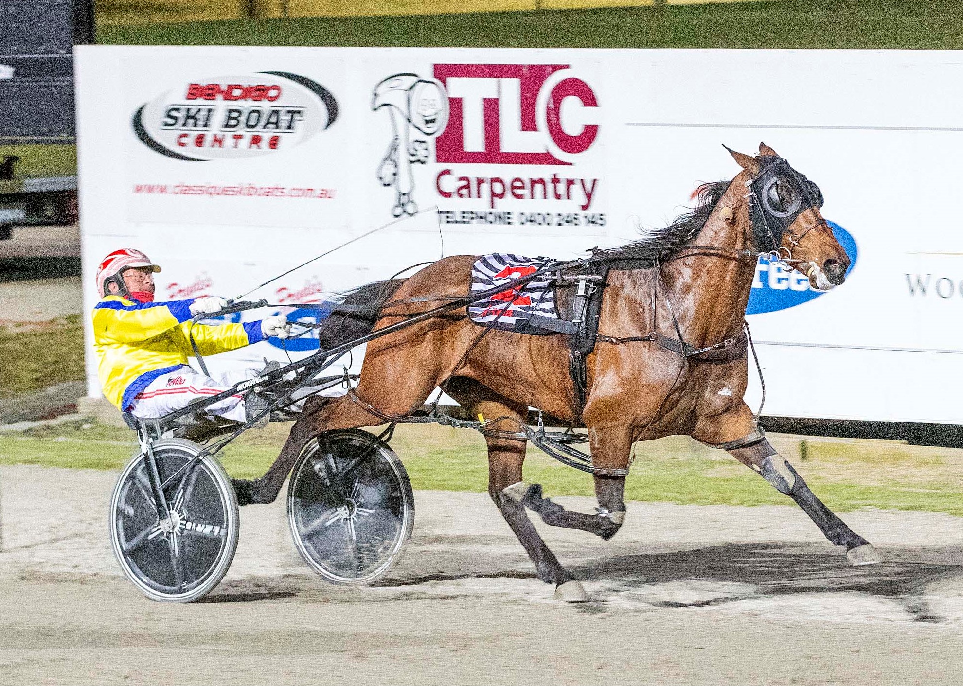 Trots Review Cup triumph a Delight as AikenAlford soar again